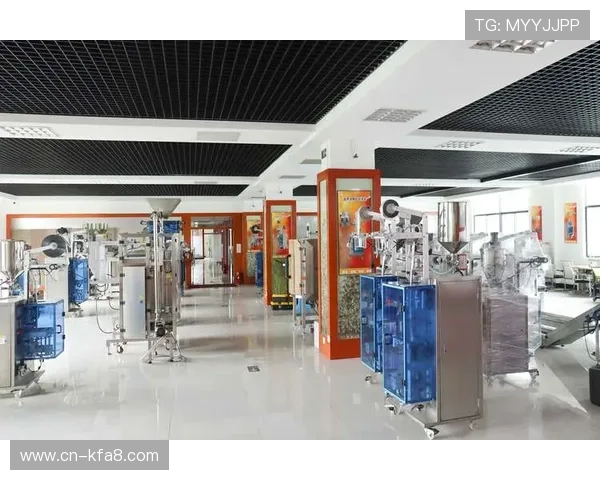 K8凯发数字站：数字化转型背景下的创新应用与发展前景