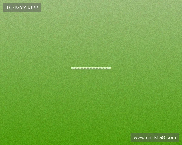 新西兰对阵伊朗世界杯小组赛赛前球队状态与核心球员介绍